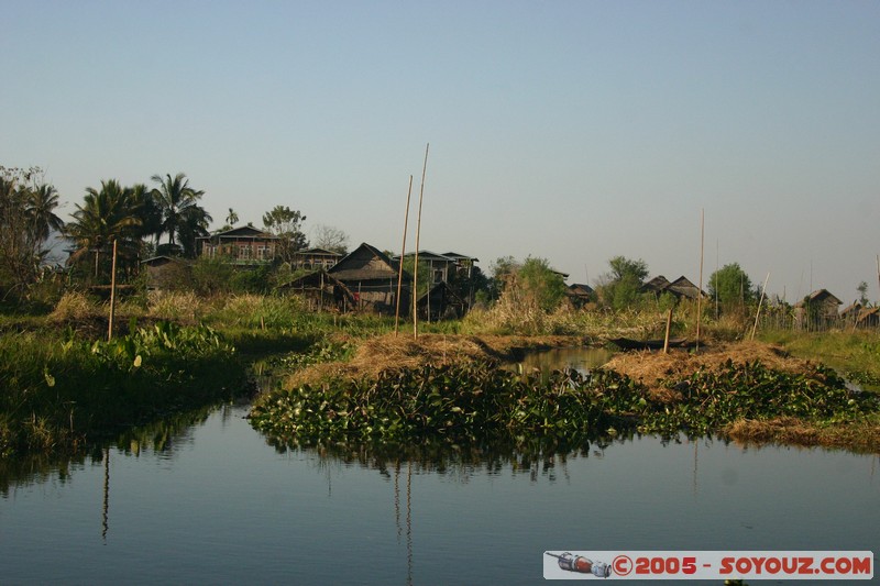 Inle lake
Mots-clés: myanmar Burma Birmanie Lac