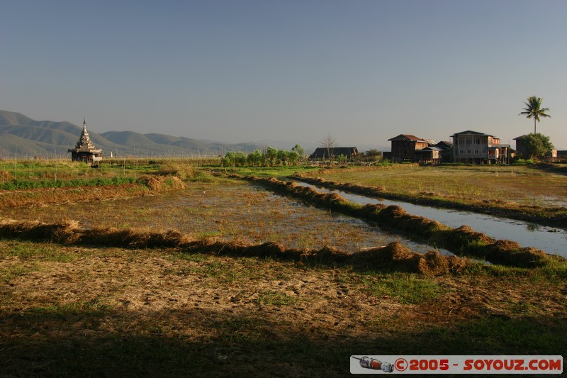 Inle lake
Mots-clés: myanmar Burma Birmanie sunset Lac