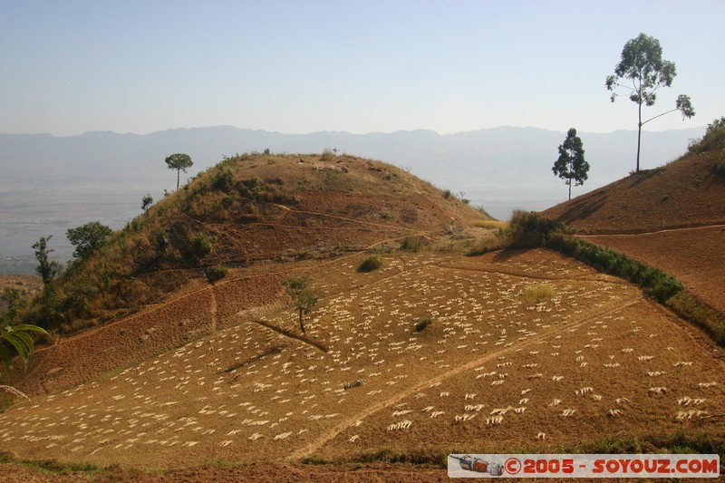 Nyaung Shwe Hills
Mots-clés: myanmar Burma Birmanie paysage