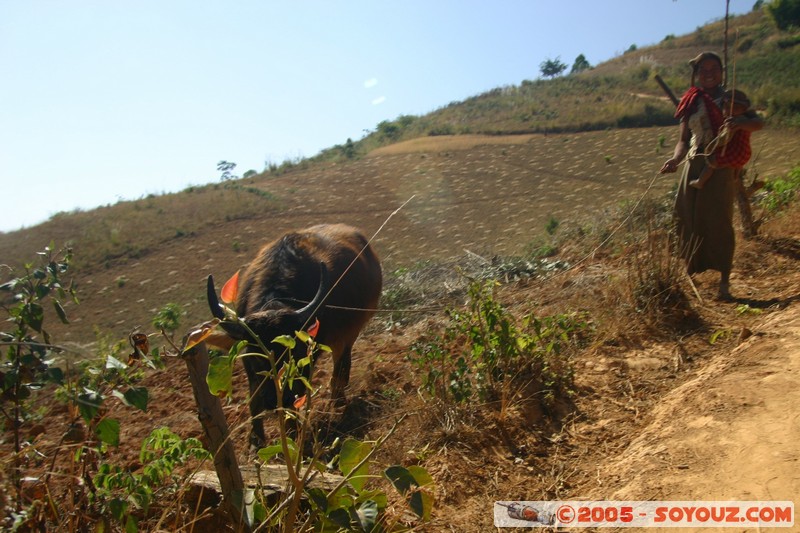 Nyaung Shwe Hills
Mots-clés: myanmar Burma Birmanie personnes