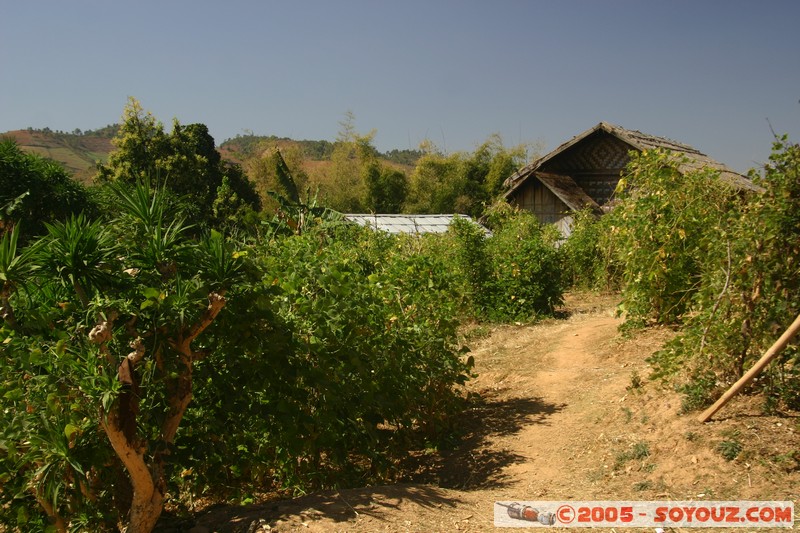 Nyaung Shwe Hills
Mots-clés: myanmar Burma Birmanie paysage