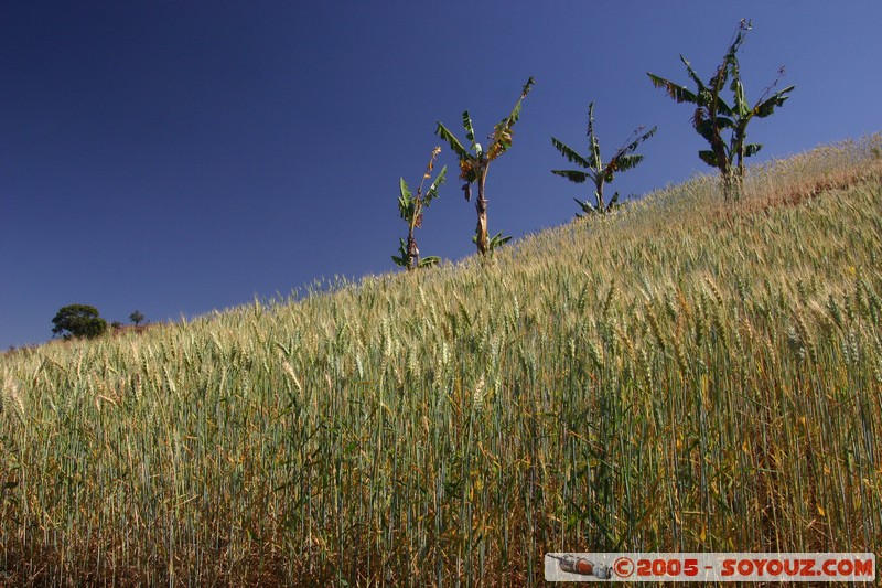 Nyaung Shwe Hills
Mots-clés: myanmar Burma Birmanie paysage