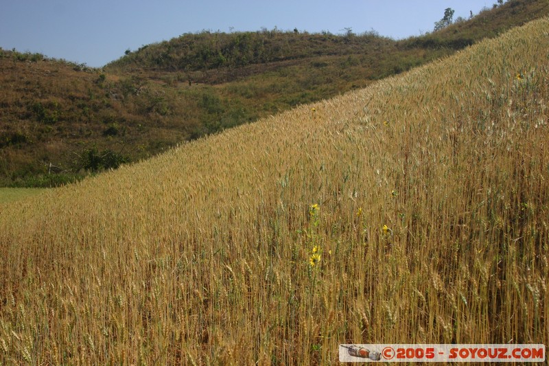 Nyaung Shwe Hills
Mots-clés: myanmar Burma Birmanie paysage