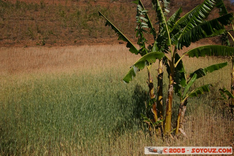 Nyaung Shwe Hills
Mots-clés: myanmar Burma Birmanie paysage