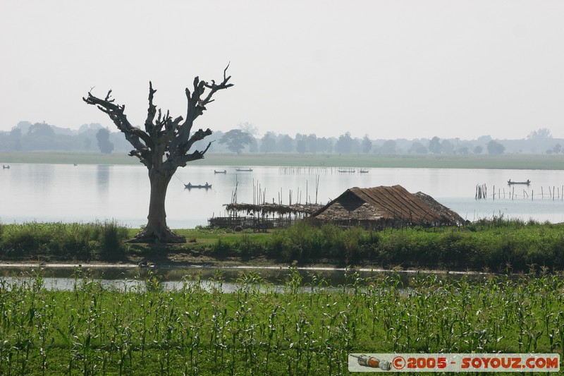 Amarapura
Mots-clés: myanmar Burma Birmanie