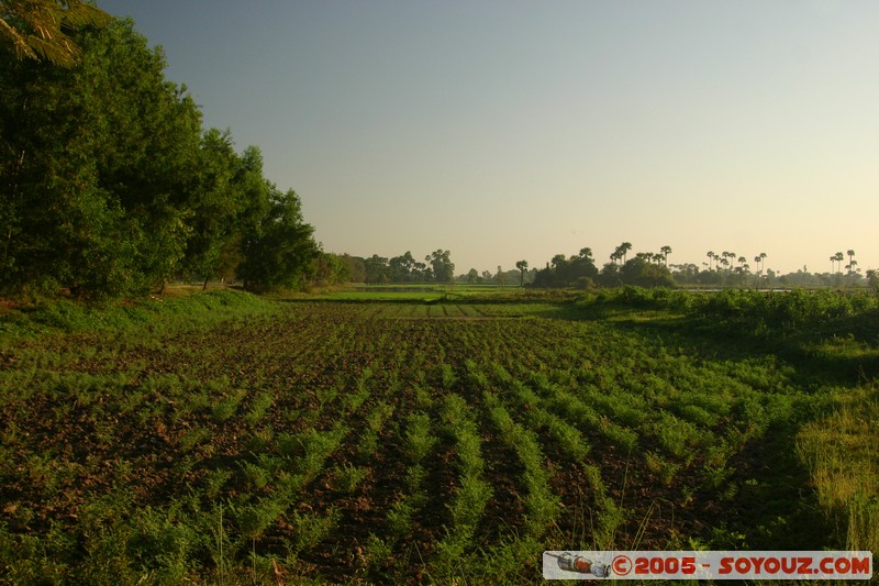 Inwa
Mots-clés: myanmar Burma Birmanie