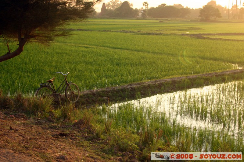 Inwa
Mots-clés: myanmar Burma Birmanie