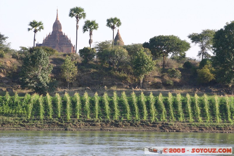 Bagan - Ayeyarwady river
Mots-clés: myanmar Burma Birmanie Riviere Ruines Pagode