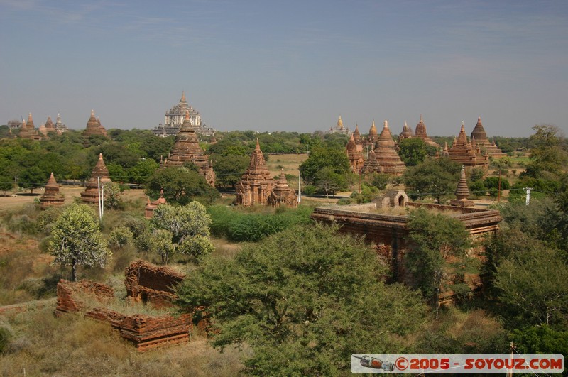 Bagan - Panorama from Mingala-zedi Pagoda
Mots-clés: myanmar Burma Birmanie Ruines Pagode