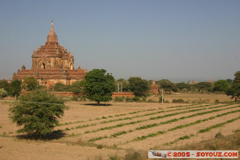 Bagan - Hti-lo-min-lo Pahto
Mots-clés: myanmar Burma Birmanie Ruines Pagode