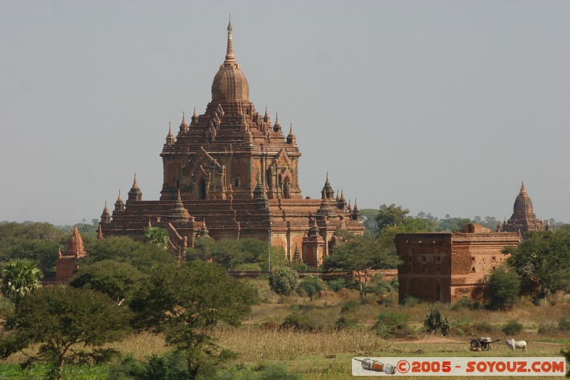 Bagan - Hti-lo-min-lo Pahto
Mots-clés: myanmar Burma Birmanie Ruines Pagode