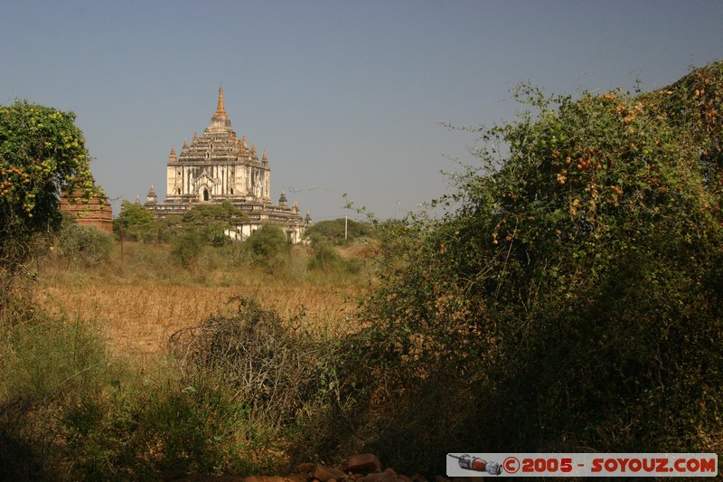 Bagan - That-byin-nyu Pahto
Mots-clés: myanmar Burma Birmanie Ruines Pagode