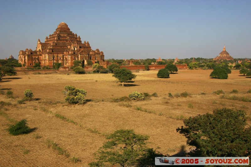 Bagan - Dhamma-yan-gyi Pahto
Mots-clés: myanmar Burma Birmanie Ruines Pagode