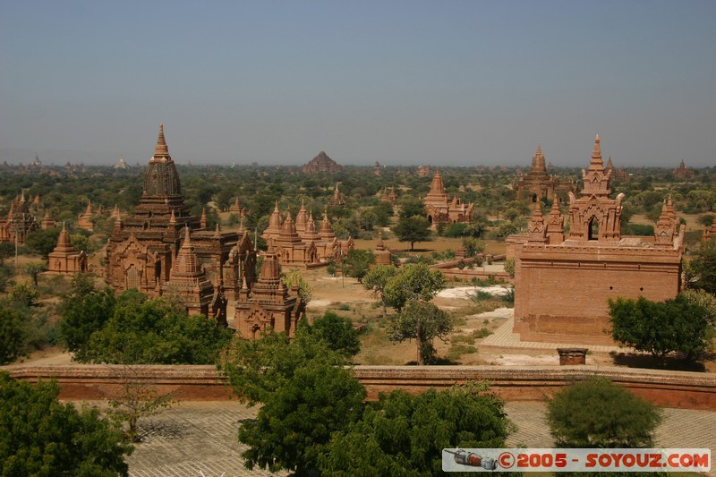 Bagan - Dhamma-ya-za-ka Zedi
Mots-clés: myanmar Burma Birmanie Ruines Pagode