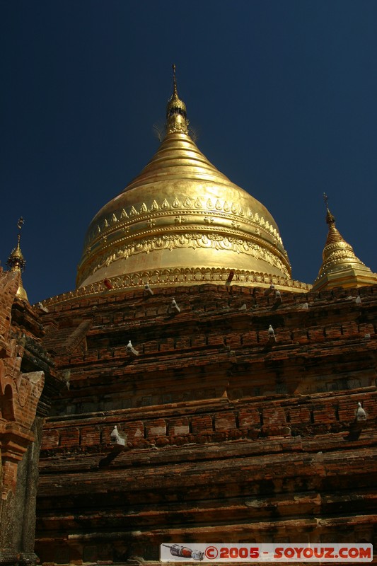 Bagan - Dhamma-ya-za-ka Zedi
Mots-clés: myanmar Burma Birmanie Ruines Pagode