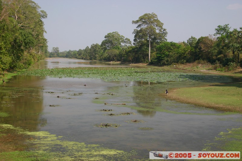 Angkor Thom - Douves
Mots-clés: patrimoine unesco Ruines