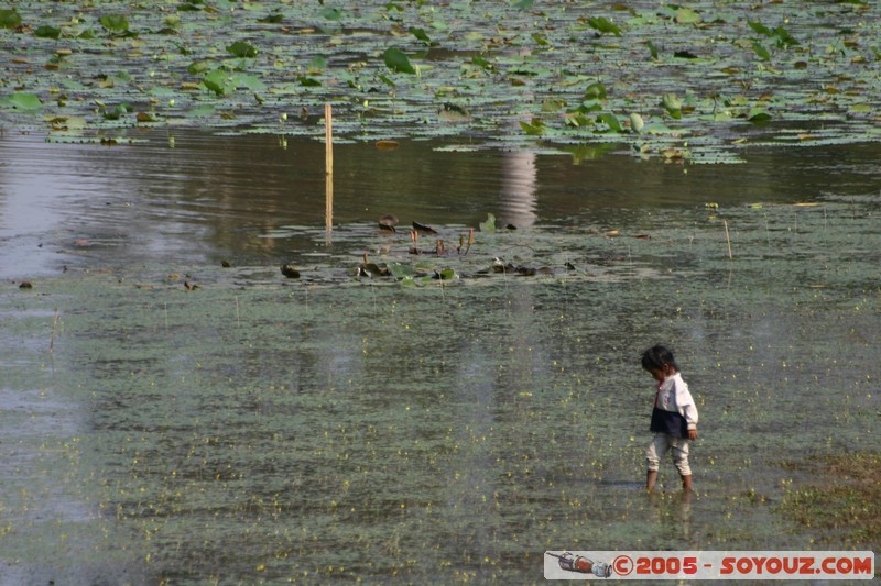 Angkor Thom - Douves
Mots-clés: patrimoine unesco Ruines