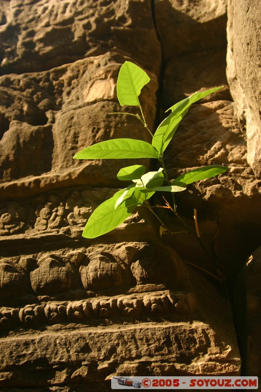 Angkor Thom - Bayon
Mots-clés: patrimoine unesco Ruines