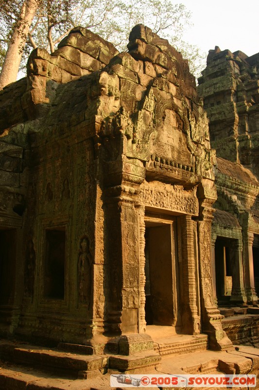 Angkor - Ta Prohm
Mots-clés: patrimoine unesco Ruines sunset