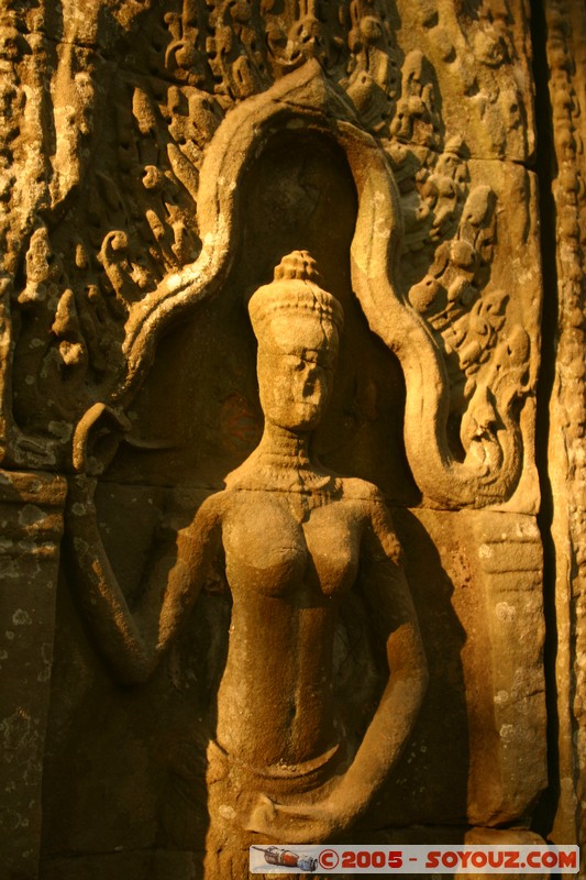 Angkor - Ta Prohm
Mots-clés: patrimoine unesco Ruines sunset sculpture
