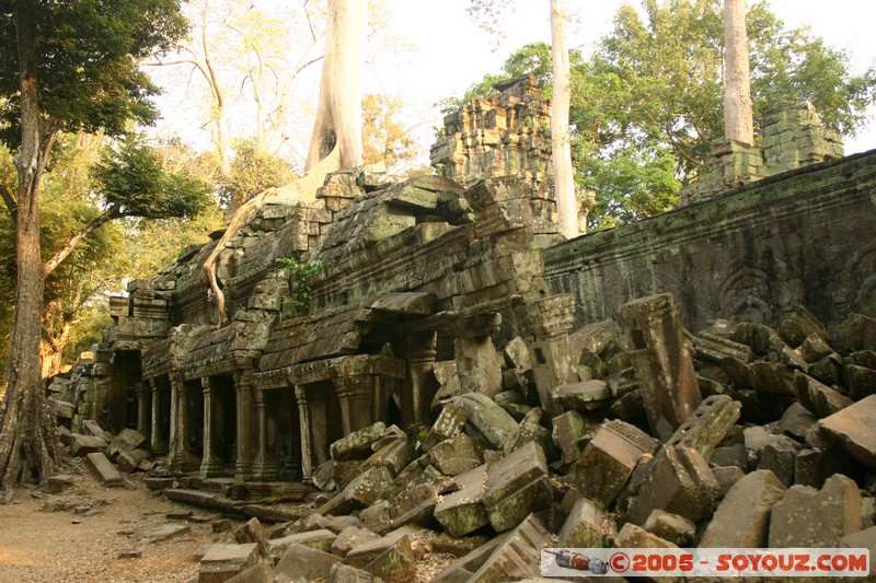 Angkor - Ta Prohm
Mots-clés: patrimoine unesco Ruines sunset