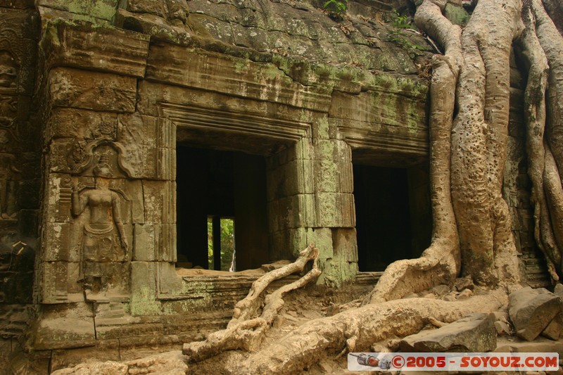 Angkor - Ta Prohm
Mots-clés: patrimoine unesco Ruines