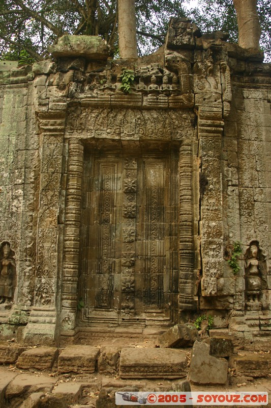 Angkor - Ta Prohm
Mots-clés: patrimoine unesco Ruines