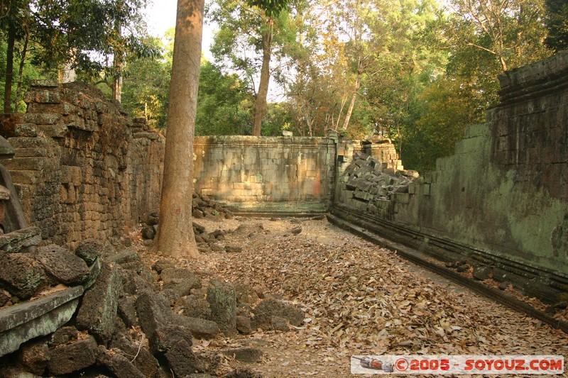 Angkor - Ta Prohm
Mots-clés: patrimoine unesco Ruines