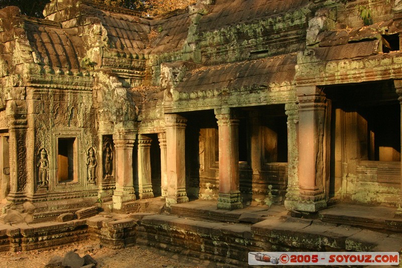 Angkor - Ta Prohm
Mots-clés: patrimoine unesco Ruines sunset