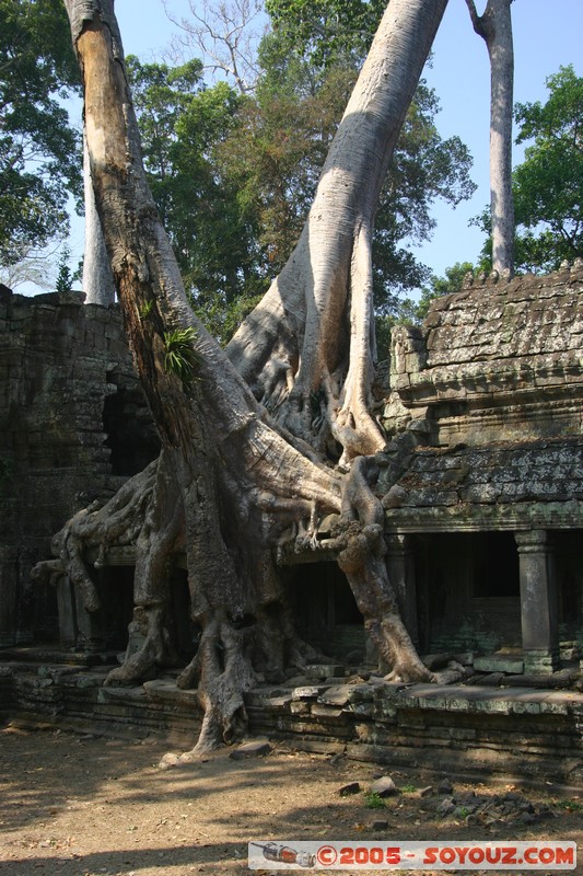 Angkor - Preah Khan
Mots-clés: patrimoine unesco Ruines