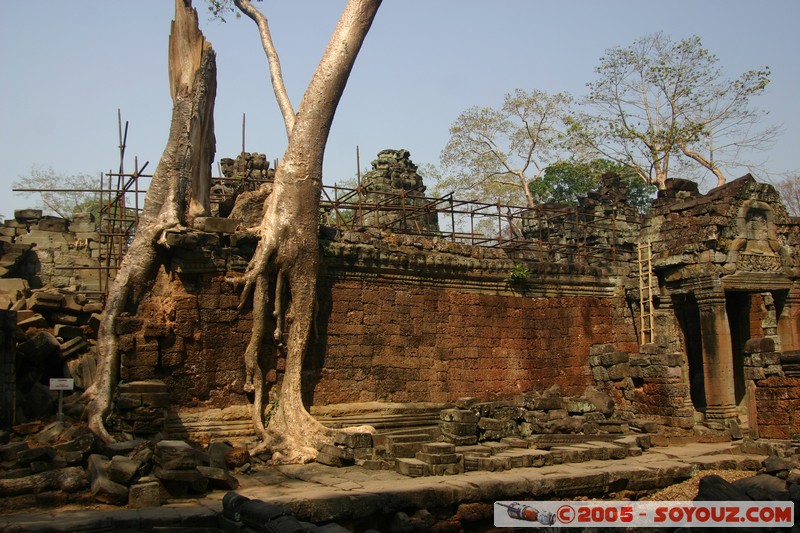 Angkor - Preah Khan
Mots-clés: patrimoine unesco Ruines