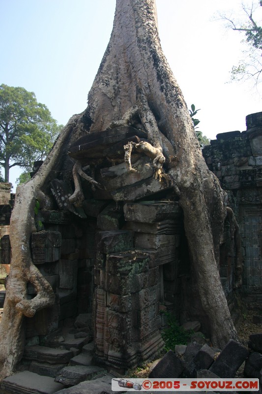 Angkor - Preah Khan
