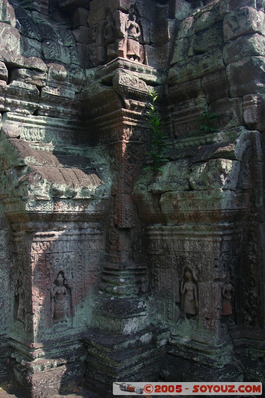 Angkor - Preah Khan
Mots-clés: patrimoine unesco Ruines