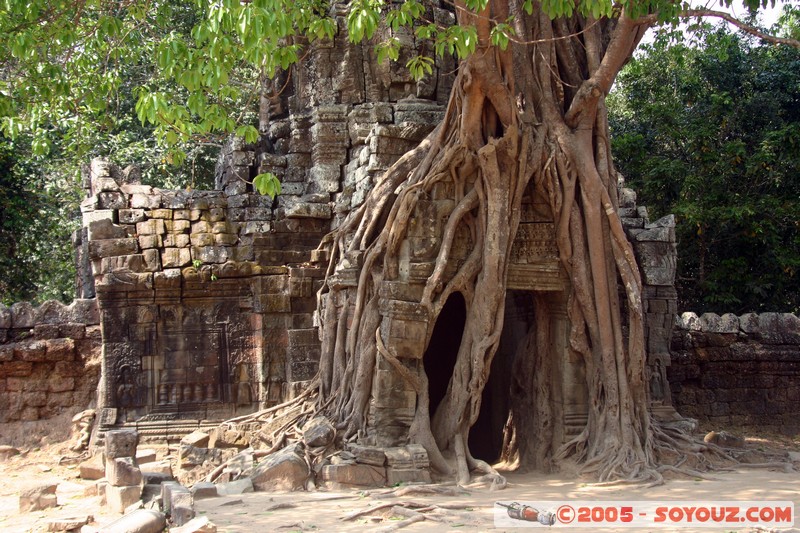 Angkor - Ta Som
Mots-clés: patrimoine unesco Ruines