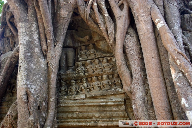 Angkor - Ta Som
Mots-clés: patrimoine unesco Ruines