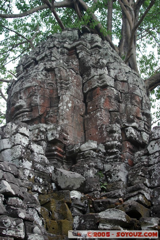 Angkor - Ta Som
Mots-clés: patrimoine unesco Ruines