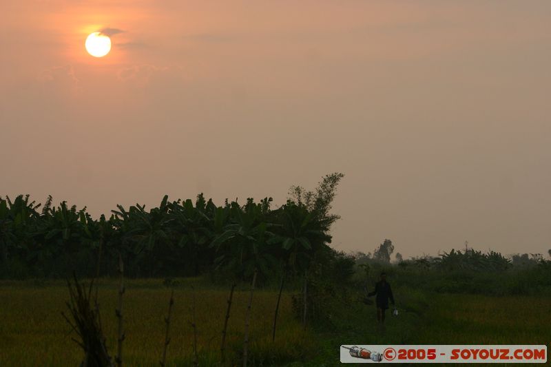 Cai Rang - Sunrise on paddy field
Mots-clés: Vietnam sunset