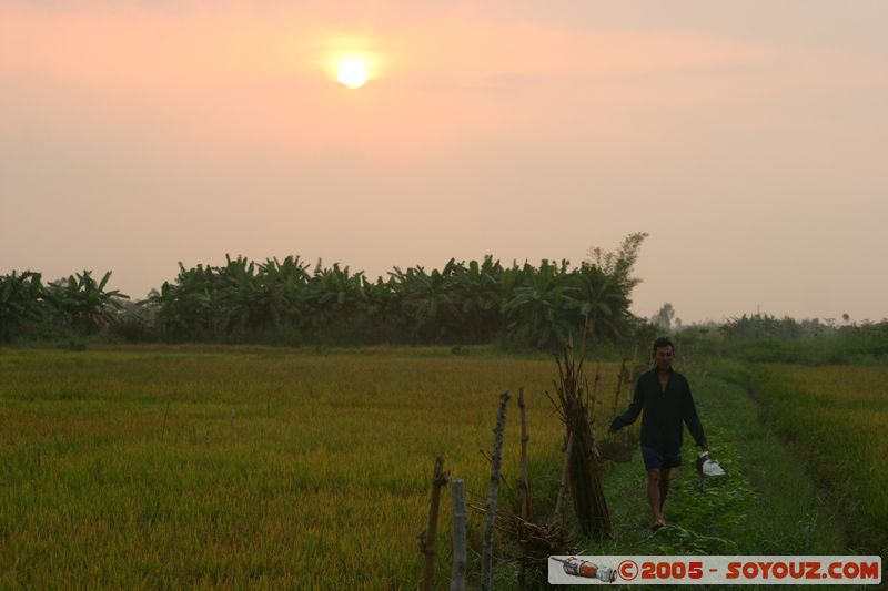 Cai Rang - Sunrise on paddy field
Mots-clés: Vietnam sunset