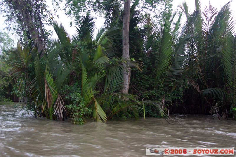 My Tho - Mekong River
Mots-clés: Vietnam