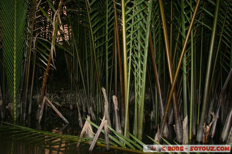 My Tho - Mekong River
Mots-clés: Vietnam