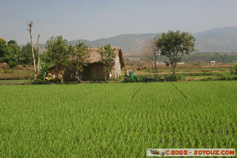 Around Dalat - Rice paddies
Mots-clés: Vietnam Riziere