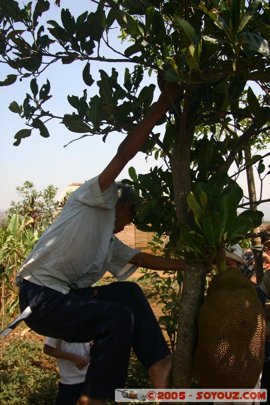 Around Dalat
Mots-clés: Vietnam personnes