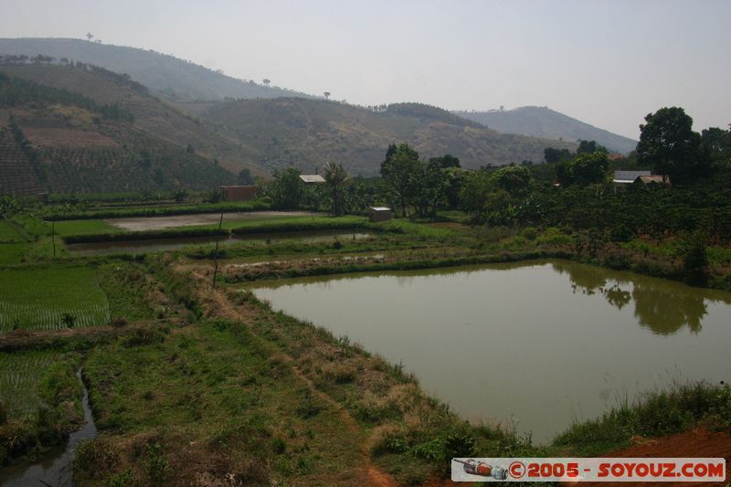 Around Dalat - Rice paddies
Mots-clés: Vietnam Riziere