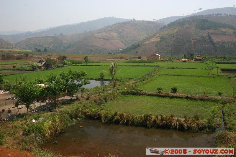 Around Dalat - Rice paddies
Mots-clés: Vietnam Riziere