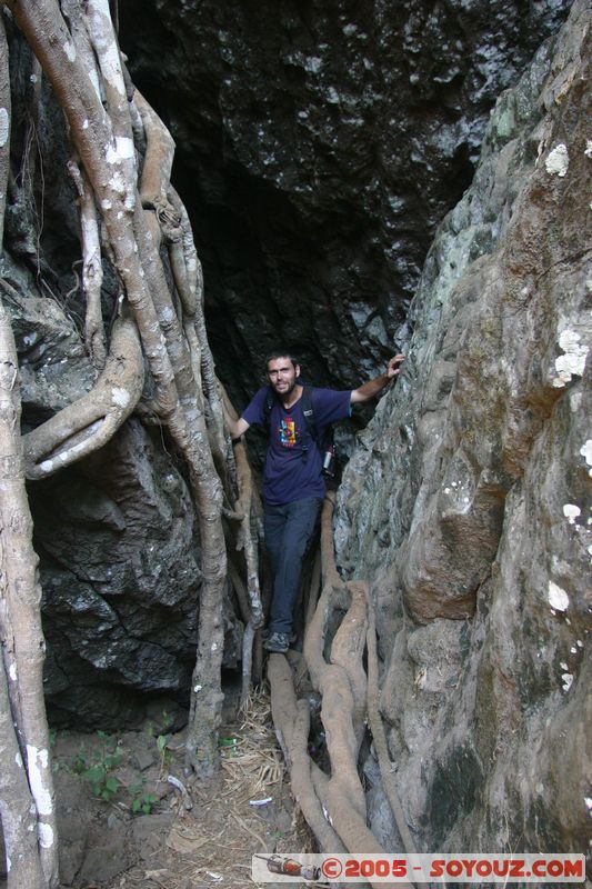 Around Dalat - Thac Hang Cop (Tiger Falls)
Mots-clés: Vietnam Arbres