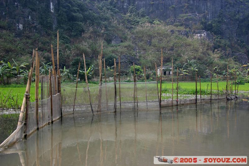 Ninh Binh - Tam Coc
Mots-clés: Vietnam Riviere Riziere