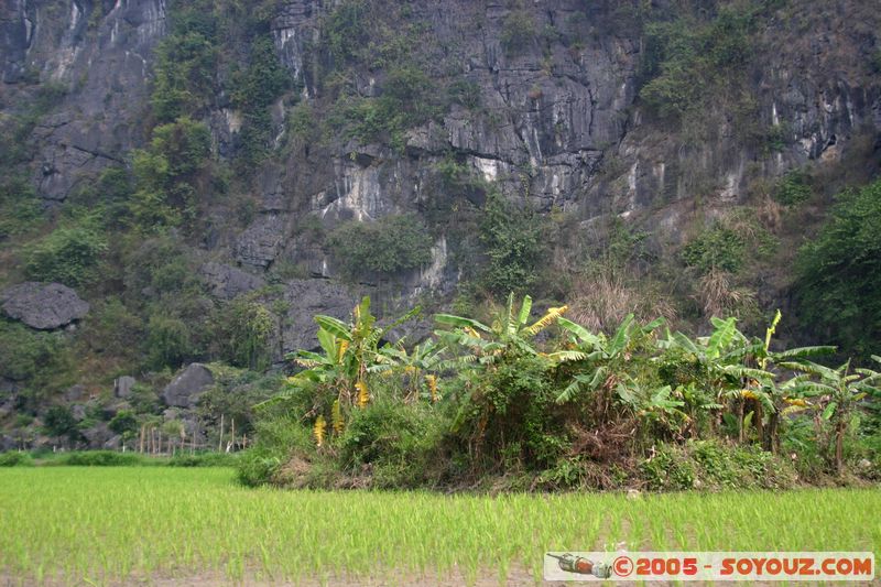 Ninh Binh - Tam Coc
Mots-clés: Vietnam Riviere Riziere