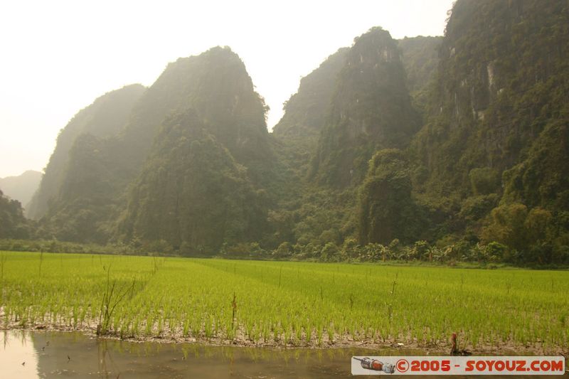 Ninh Binh - Tam Coc
Mots-clés: Vietnam Riviere Riziere