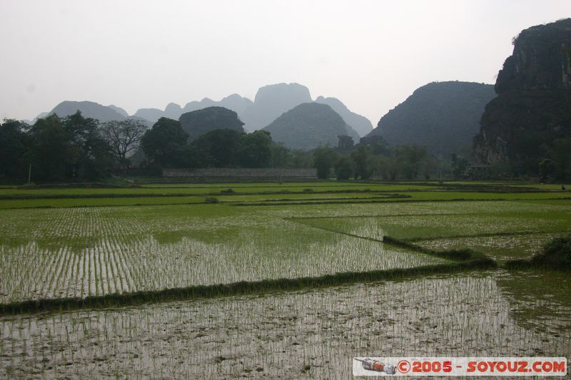 Ninh Binh - Hoa Lu - Rice Paddies
Mots-clés: Vietnam Riziere