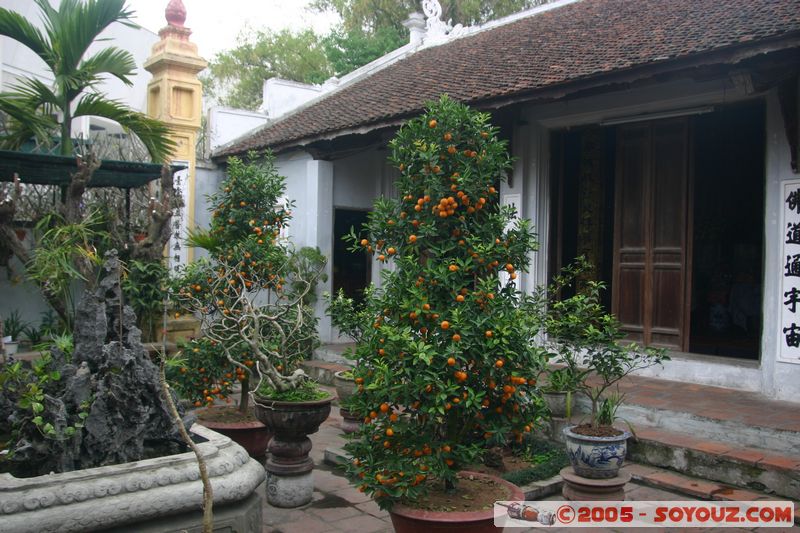 Hanoi - Dien Huu Pagoda
Mots-clés: Vietnam Boudhiste